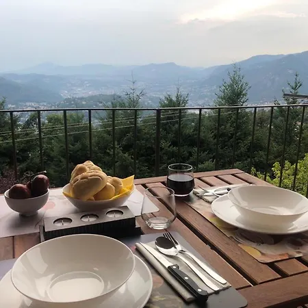 Il Nido Della Fenice