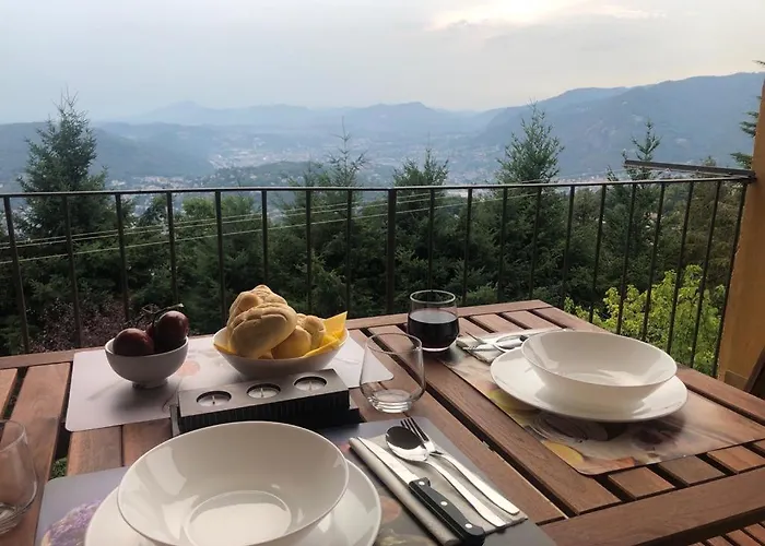 Il Nido Della Fenice